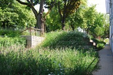 Landschaftsarchitektur Stuttgart - Links Grünfläche - Rechts Weg