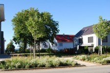 Blick von der Straße auf die Häuser und die Grünfläche