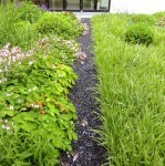 Grünfläche des Hausgartens der Familie B - Privat - Landschaftsarchitekt