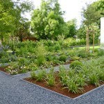 Blick vom Wohnhaus auf die Grünfläche