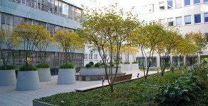 gesamt Überblick - rechts Bänke und links die Töpfe